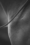 Paul PINTARD - PINTARD PHOTOGRAPHIE
