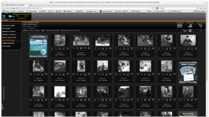 Virgile BARBAS - VIRGILE PHOTOGRAPHY