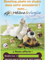 Virgile BARBAS - VIRGILE PHOTOGRAPHY
